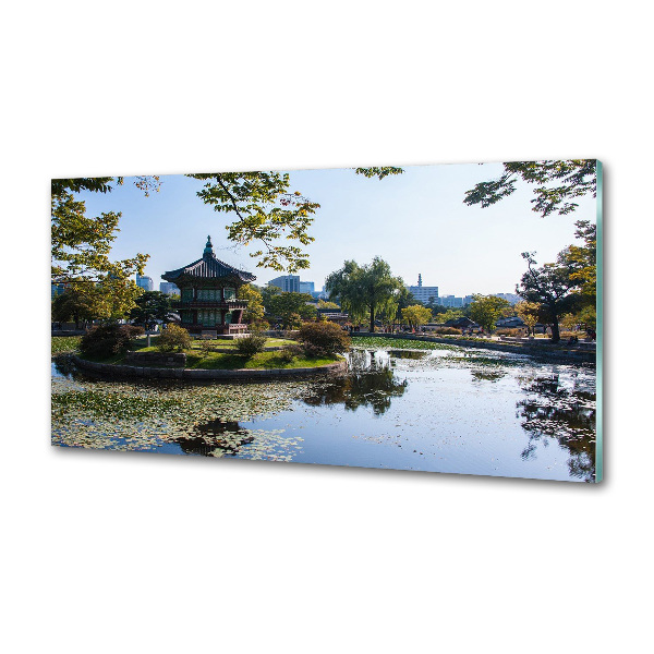 Spatplaat keuken Zuid-Korea