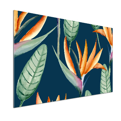 Spatscherm keuken Strelitzia reginae