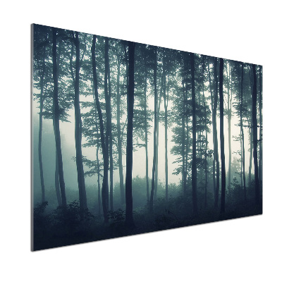 Keuken achterwand Bos in de mist