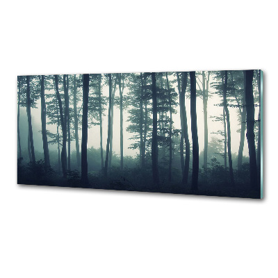 Keuken achterwand Bos in de mist