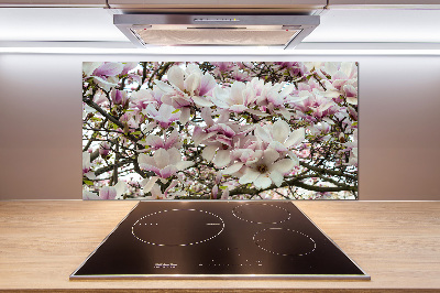 Keuken achterwand Magnolia bloemen