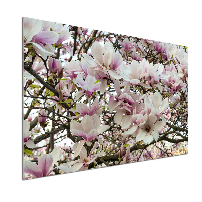 Keuken achterwand Magnolia bloemen