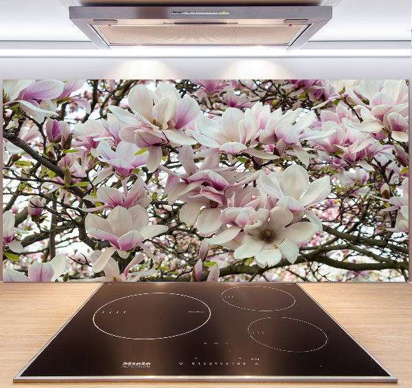 Keuken achterwand Magnolia bloemen