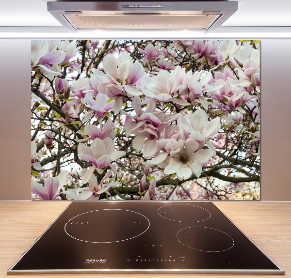 Keuken achterwand Magnolia bloemen
