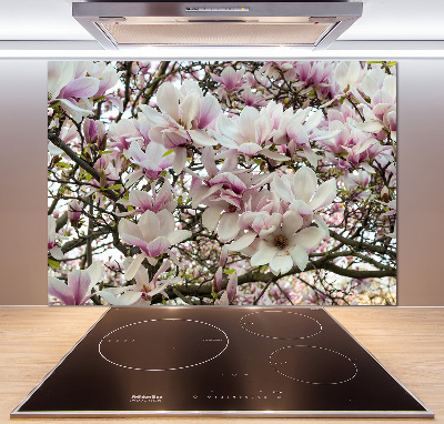 Keuken achterwand Magnolia bloemen