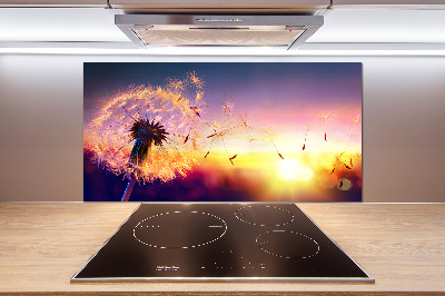 Glazen achterwand keuken Paardebloem