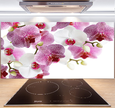 Achterwand keuken Orchidee