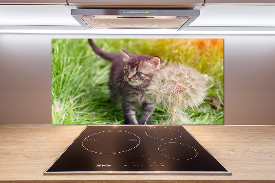 Keuken achterwand Kitten met een paardenbloem