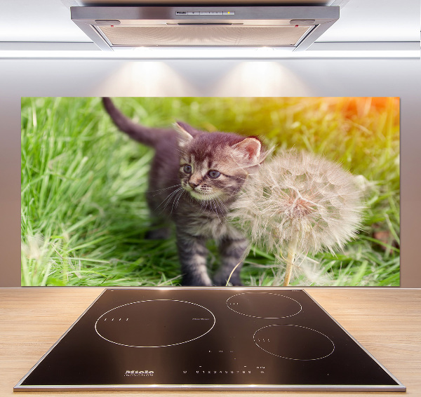 Keuken achterwand Kitten met een paardenbloem