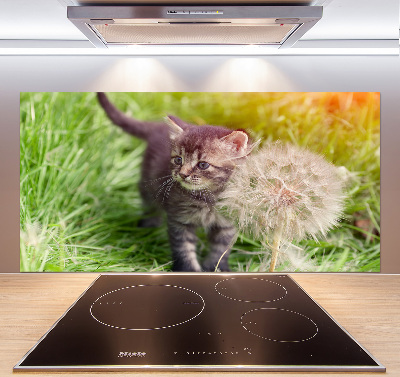 Keuken achterwand Kitten met een paardenbloem