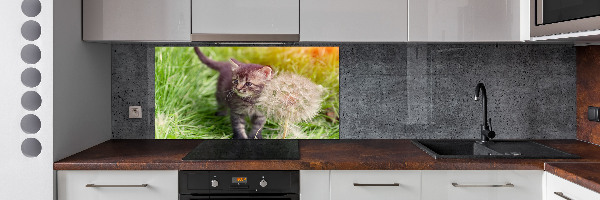 Keuken achterwand Kitten met een paardenbloem