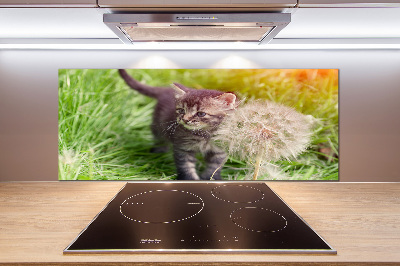 Keuken achterwand Kitten met een paardenbloem