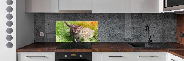 Keuken achterwand Kitten met een paardenbloem