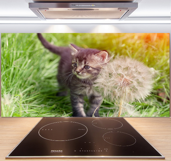 Keuken achterwand Kitten met een paardenbloem