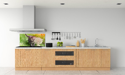 Keuken achterwand Kitten met een paardenbloem