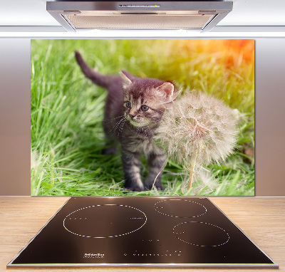 Keuken achterwand Kitten met een paardenbloem