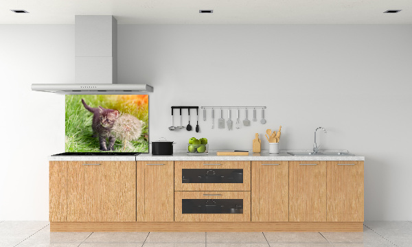 Keuken achterwand Kitten met een paardenbloem