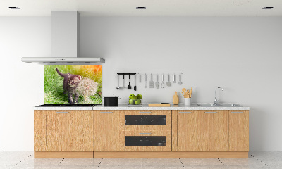 Keuken achterwand Kitten met een paardenbloem