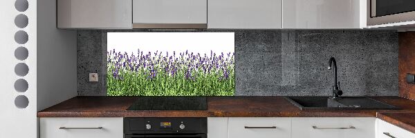 Spatplaat keuken Lavendelbloemen