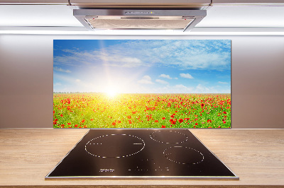 Spatplaat keuken Klaprozenveld