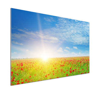 Spatplaat keuken Klaprozenveld