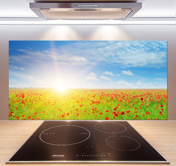 Spatplaat keuken Klaprozenveld