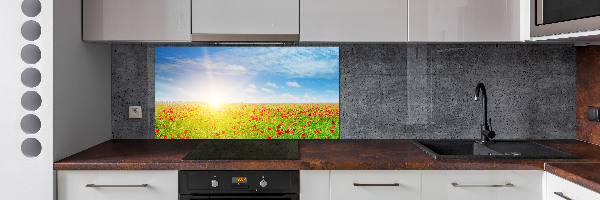 Spatplaat keuken Klaprozenveld