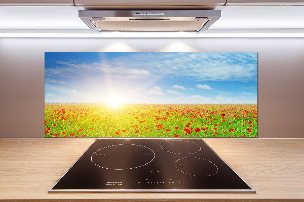 Spatplaat keuken Klaprozenveld