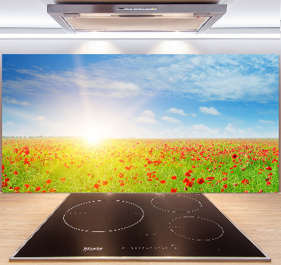 Spatplaat keuken Klaprozenveld