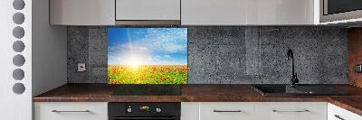 Spatplaat keuken Klaprozenveld