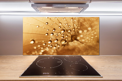 Keuken achterwand Paardebloem