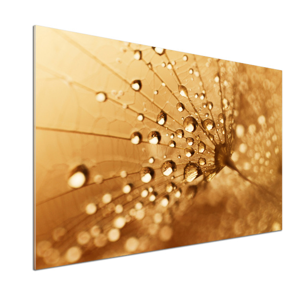 Keuken achterwand Paardebloem