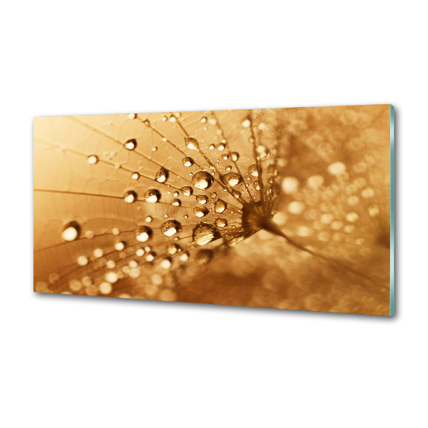 Keuken achterwand Paardebloem