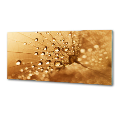 Keuken achterwand Paardebloem