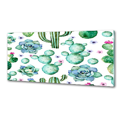 Glazen achterwand keuken Cactussen