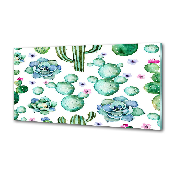 Glazen achterwand keuken Cactussen