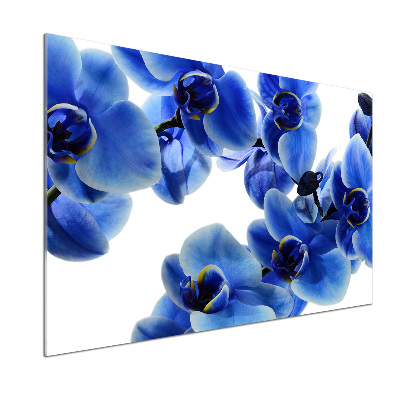Achterwand keuken Blauwe orchidee