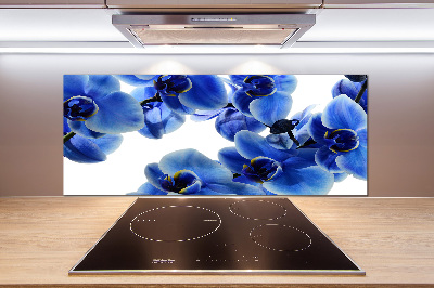 Achterwand keuken Blauwe orchidee