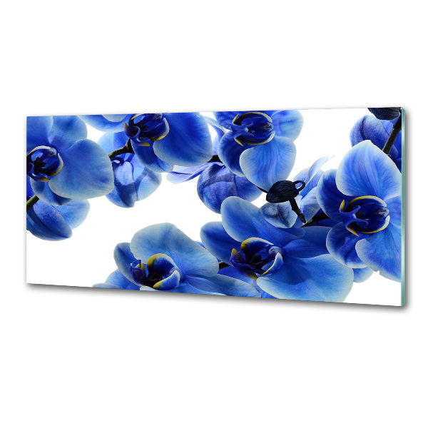 Achterwand keuken Blauwe orchidee