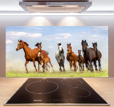 Glazen achterwand keuken Paarden in galop