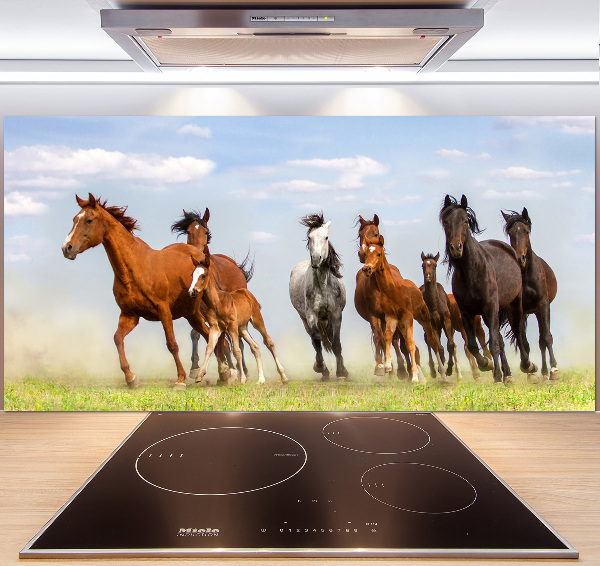 Glazen achterwand keuken Paarden in galop
