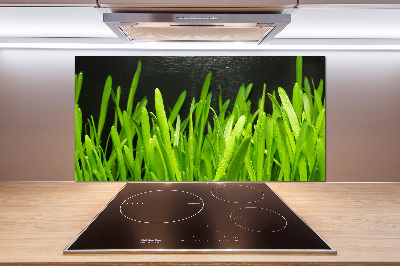 Spatscherm keuken Gras