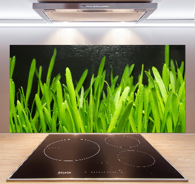 Spatscherm keuken Gras