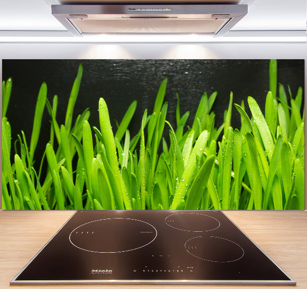 Spatscherm keuken Gras