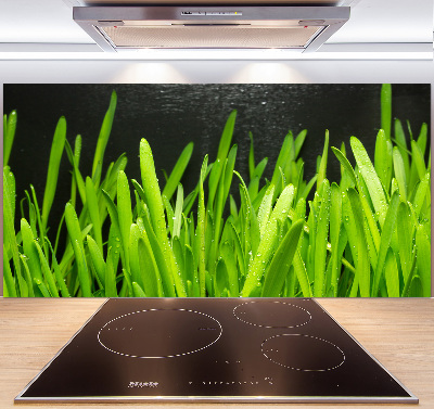 Spatscherm keuken Gras