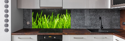 Spatscherm keuken Gras