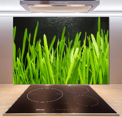 Spatscherm keuken Gras