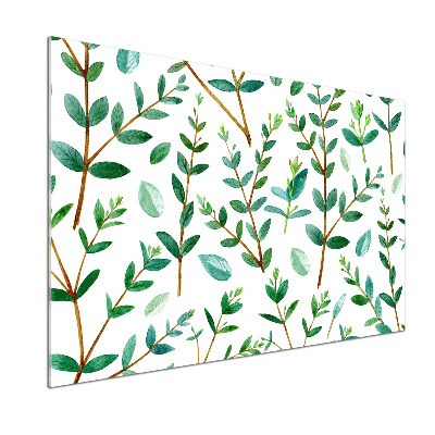 Glazen achterwand keuken Eucalyptus