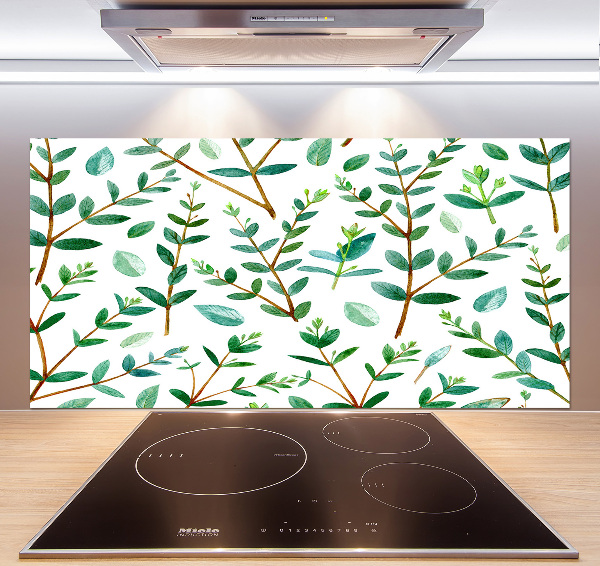 Glazen achterwand keuken Eucalyptus