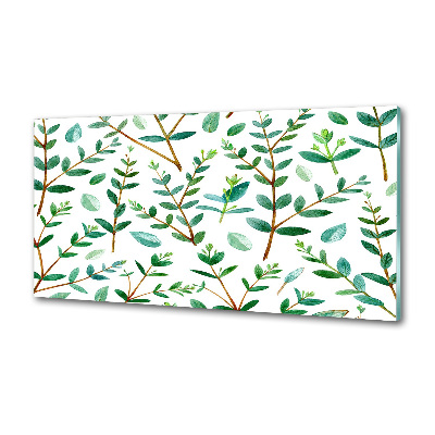 Glazen achterwand keuken Eucalyptus